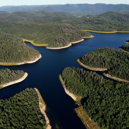 Gite De Rarounette Au Coeur Des Vosges Celles-sur-Plaine Exterior foto