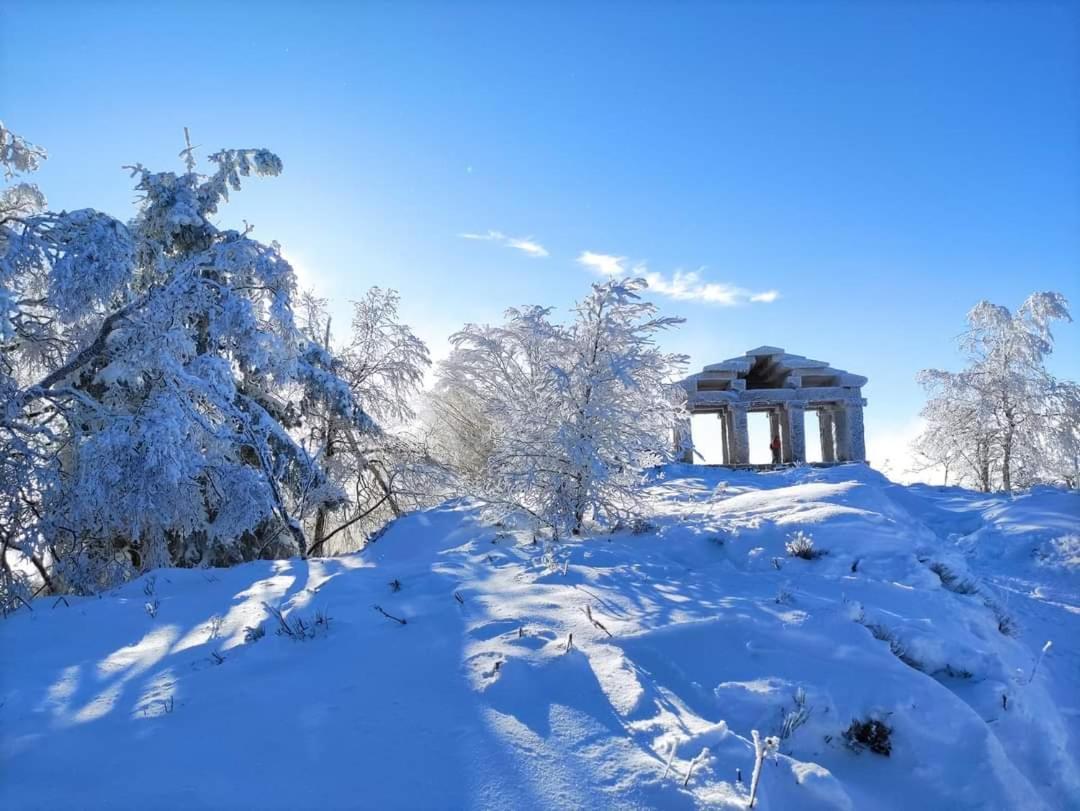 Gite De Rarounette Au Coeur Des Vosges Celles-sur-Plaine Exterior foto