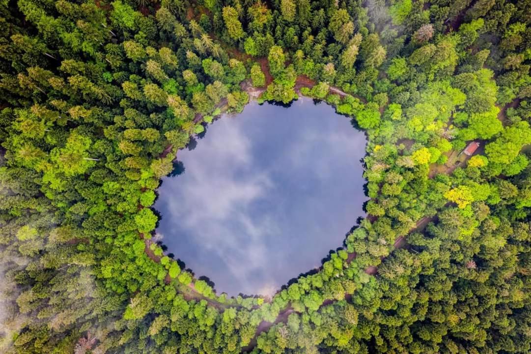 Gite De Rarounette Au Coeur Des Vosges Celles-sur-Plaine Exterior foto
