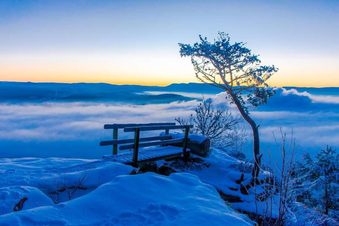 Gite De Rarounette Au Coeur Des Vosges Celles-sur-Plaine Exterior foto