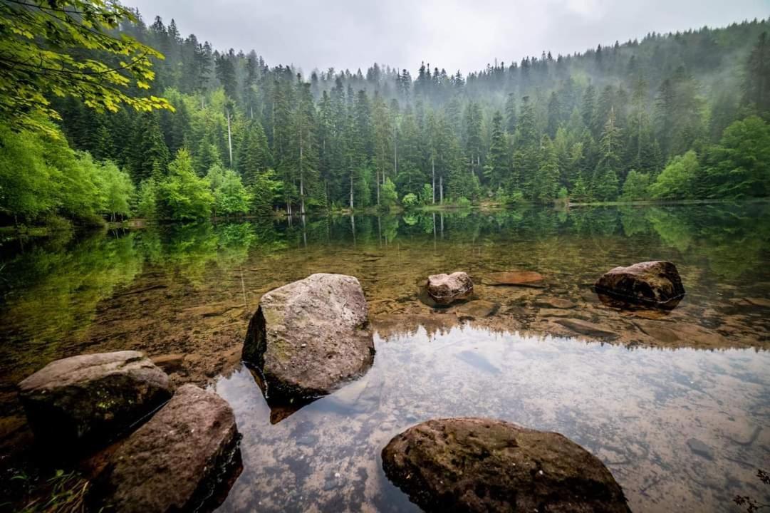 Gite De Rarounette Au Coeur Des Vosges Celles-sur-Plaine Exterior foto
