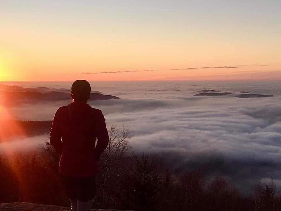 Gite De Rarounette Au Coeur Des Vosges Celles-sur-Plaine Exterior foto