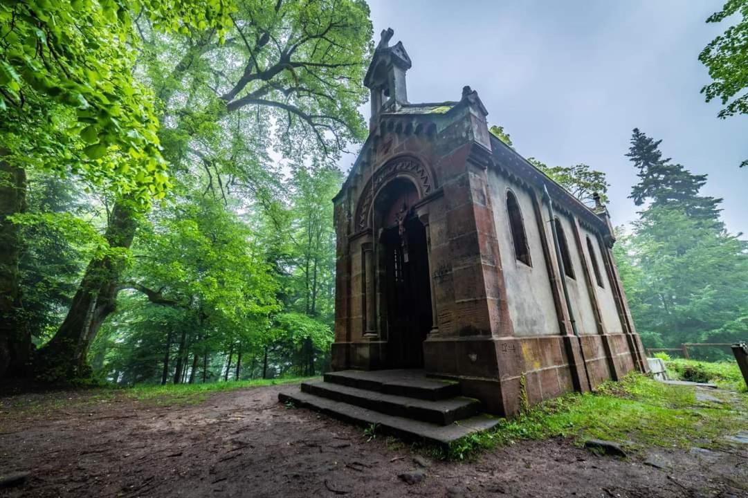 Gite De Rarounette Au Coeur Des Vosges Celles-sur-Plaine Exterior foto