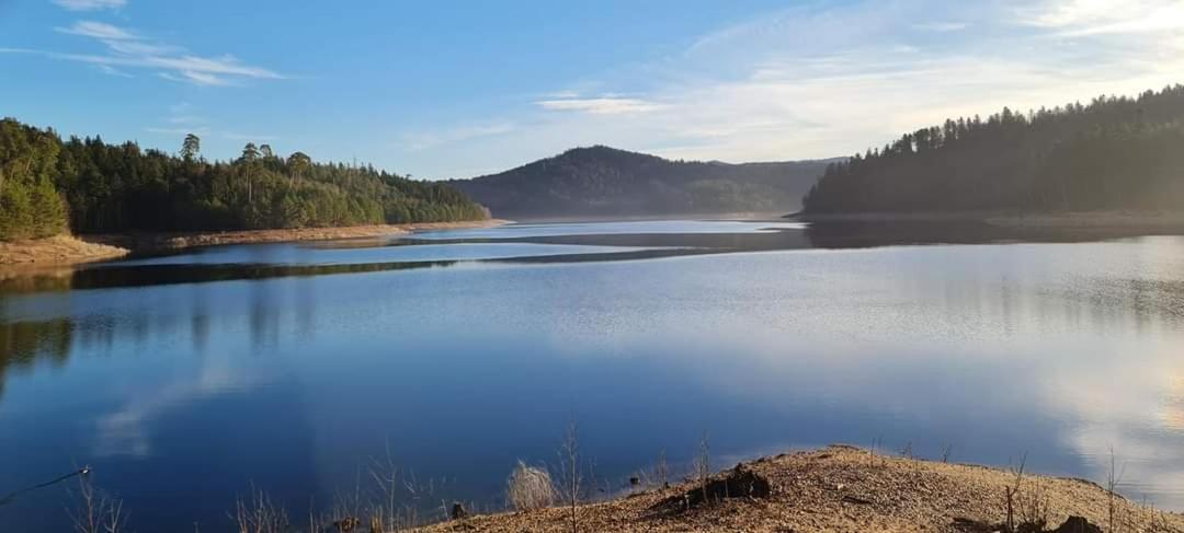 Gite De Rarounette Au Coeur Des Vosges Celles-sur-Plaine Exterior foto