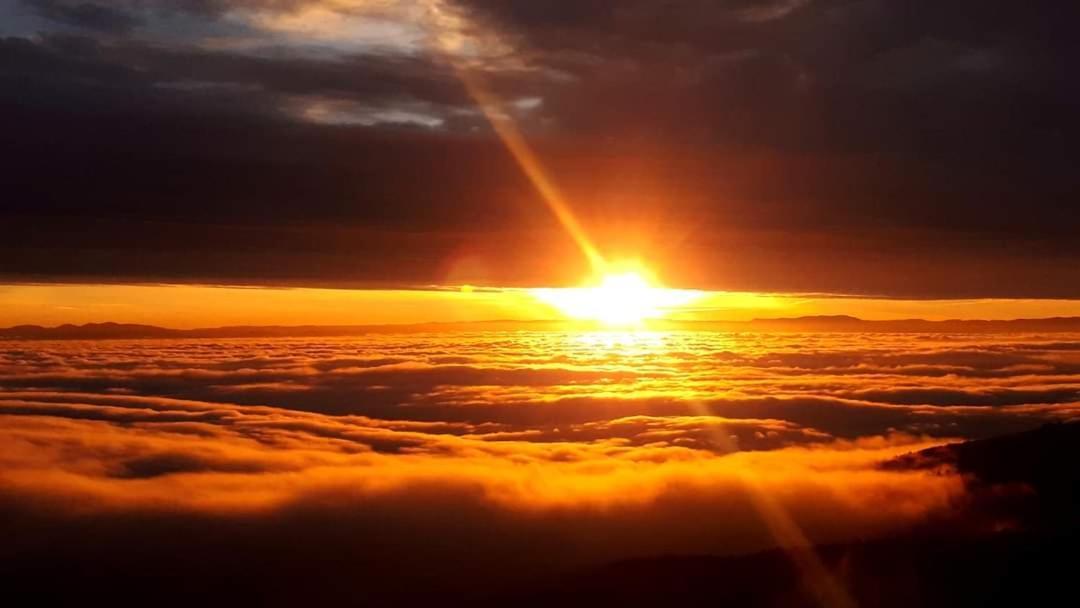 Gite De Rarounette Au Coeur Des Vosges Celles-sur-Plaine Exterior foto