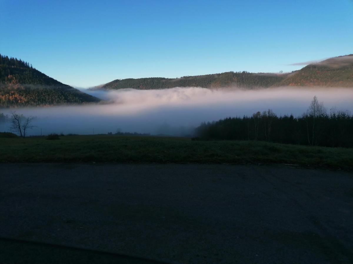 Gite De Rarounette Au Coeur Des Vosges Celles-sur-Plaine Exterior foto