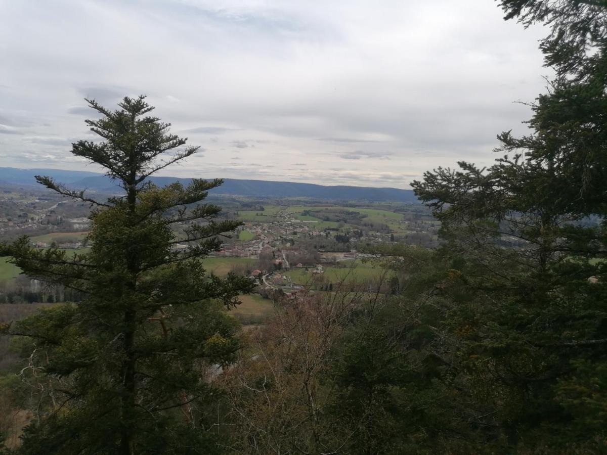 Gite De Rarounette Au Coeur Des Vosges Celles-sur-Plaine Exterior foto