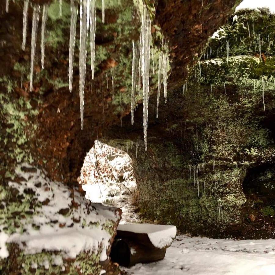 Gite De Rarounette Au Coeur Des Vosges Celles-sur-Plaine Exterior foto