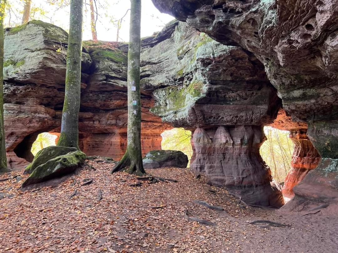 Gite De Rarounette Au Coeur Des Vosges Celles-sur-Plaine Exterior foto