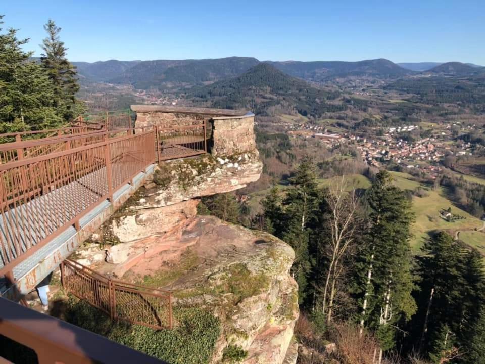 Gite De Rarounette Au Coeur Des Vosges Celles-sur-Plaine Exterior foto