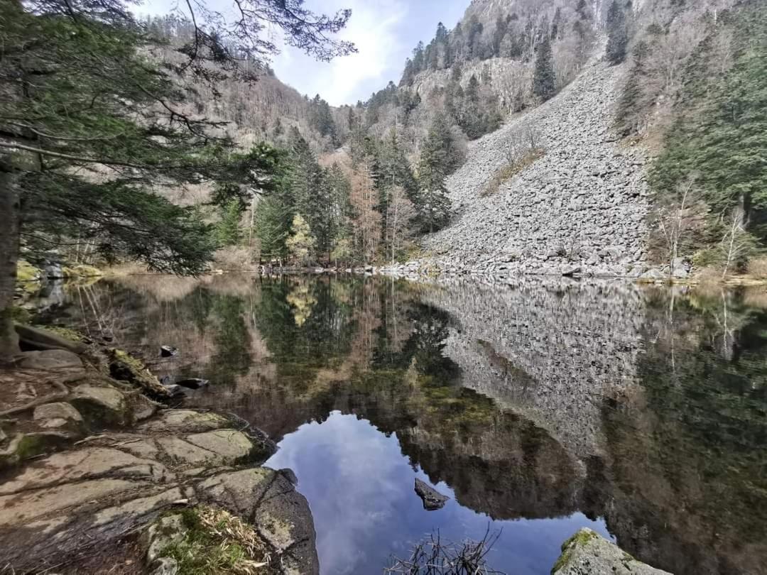 Gite De Rarounette Au Coeur Des Vosges Celles-sur-Plaine Exterior foto