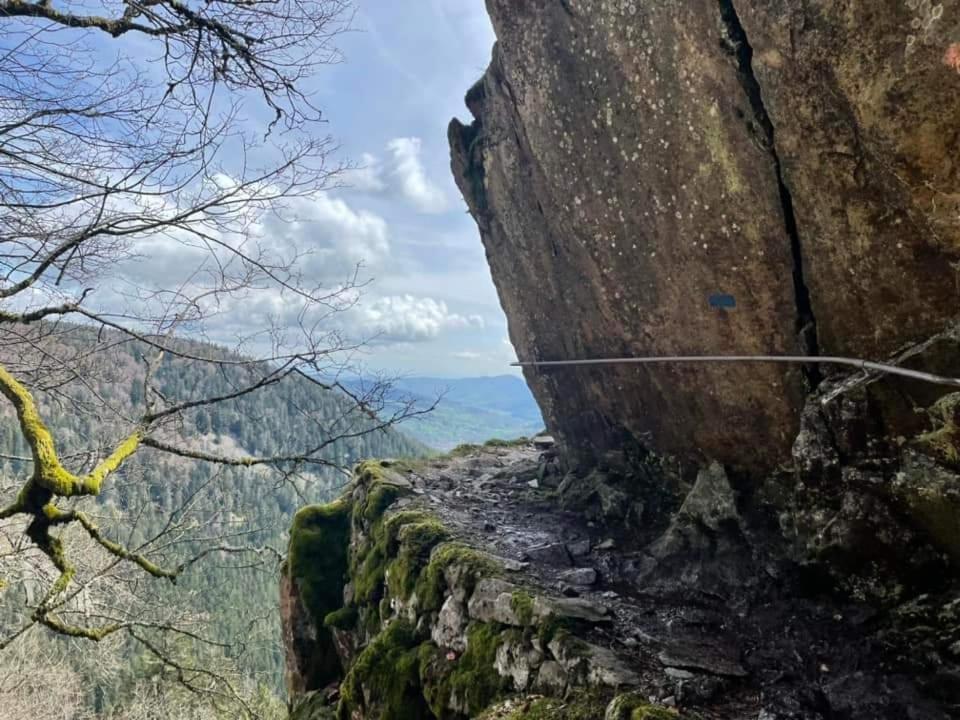 Gite De Rarounette Au Coeur Des Vosges Celles-sur-Plaine Exterior foto
