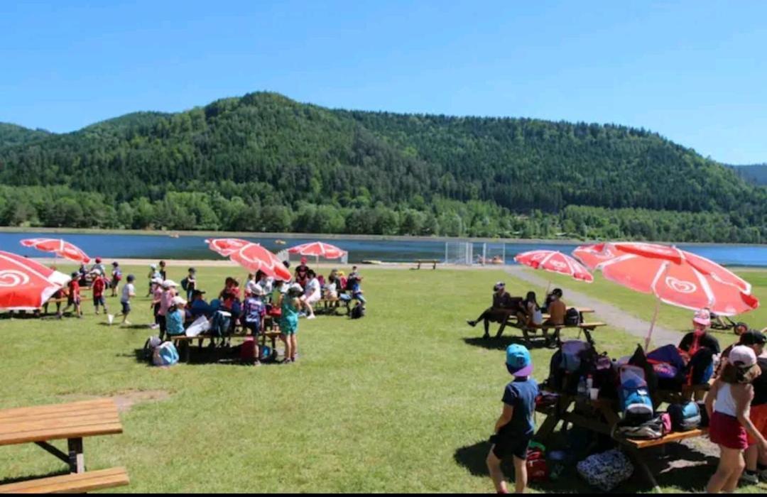 Gite De Rarounette Au Coeur Des Vosges Celles-sur-Plaine Exterior foto