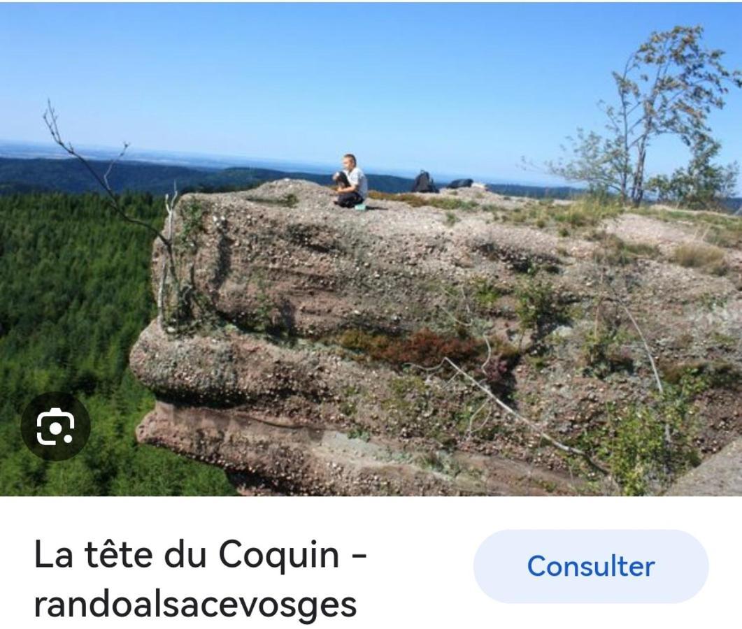 Gite De Rarounette Au Coeur Des Vosges Celles-sur-Plaine Exterior foto