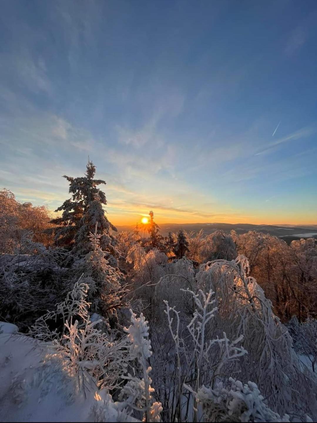 Gite De Rarounette Au Coeur Des Vosges Celles-sur-Plaine Exterior foto