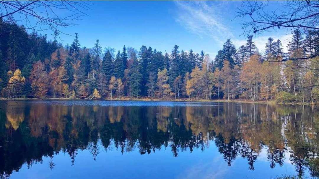 Gite De Rarounette Au Coeur Des Vosges Celles-sur-Plaine Exterior foto