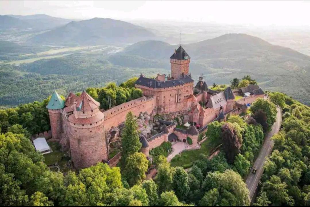 Gite De Rarounette Au Coeur Des Vosges Celles-sur-Plaine Exterior foto