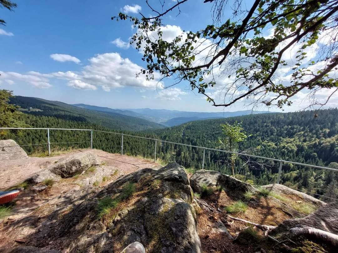 Gite De Rarounette Au Coeur Des Vosges Celles-sur-Plaine Exterior foto