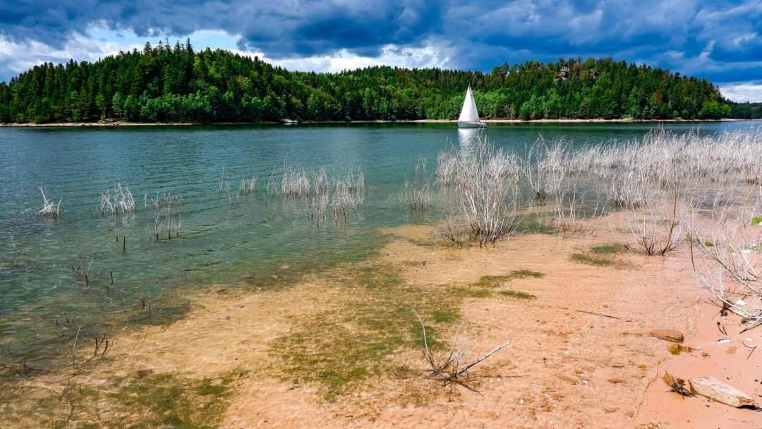 Gite De Rarounette Au Coeur Des Vosges Celles-sur-Plaine Exterior foto