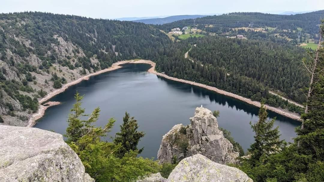 Gite De Rarounette Au Coeur Des Vosges Celles-sur-Plaine Exterior foto