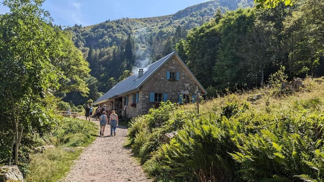 Gite De Rarounette Au Coeur Des Vosges Celles-sur-Plaine Exterior foto