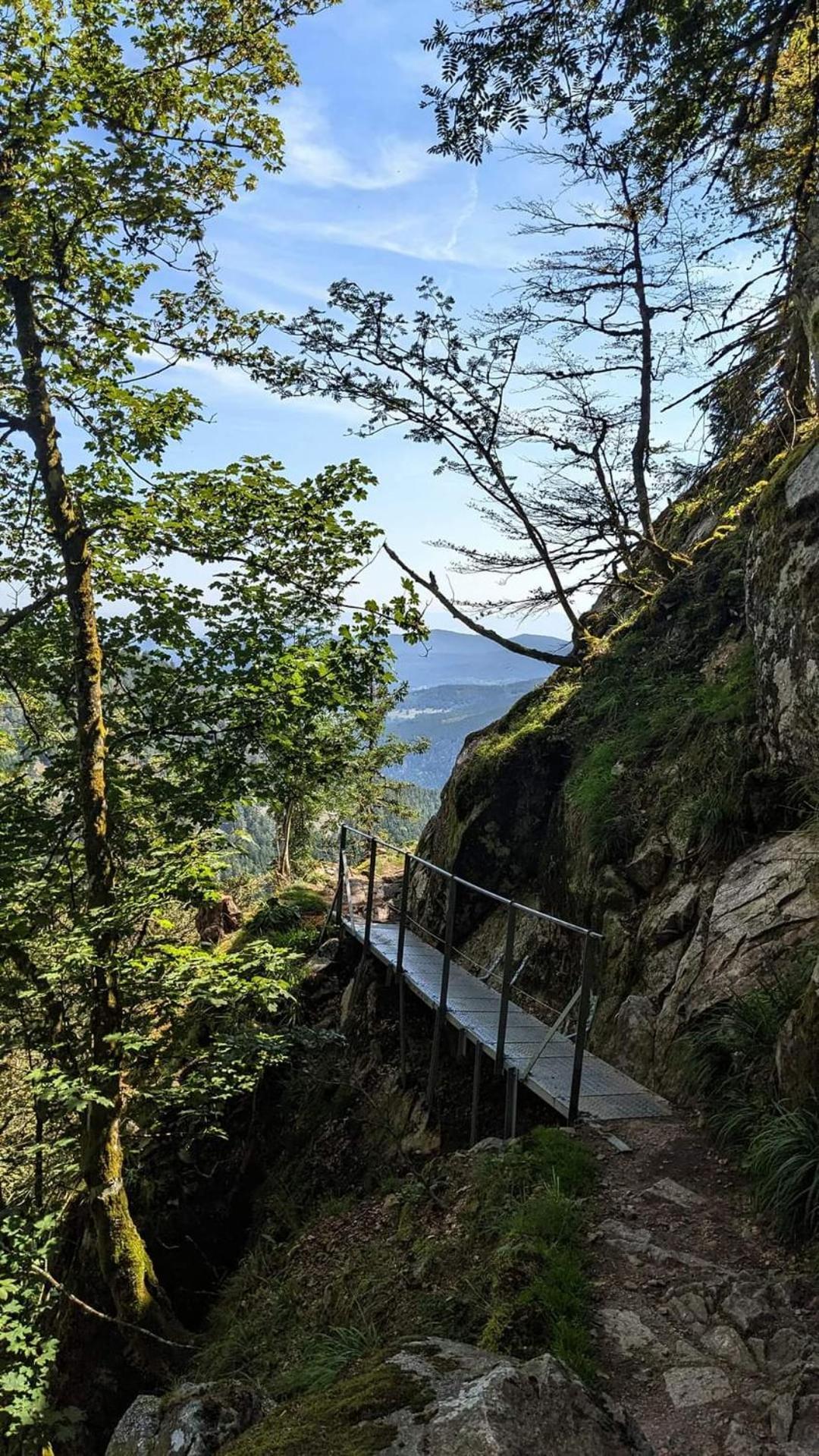 Gite De Rarounette Au Coeur Des Vosges Celles-sur-Plaine Exterior foto