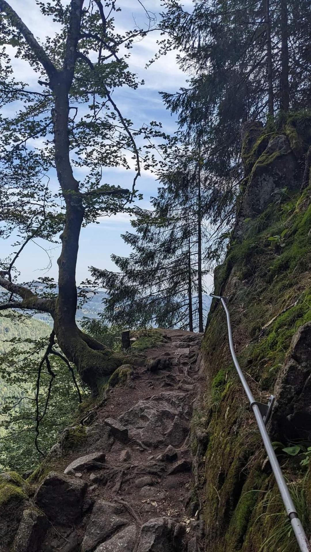 Gite De Rarounette Au Coeur Des Vosges Celles-sur-Plaine Exterior foto