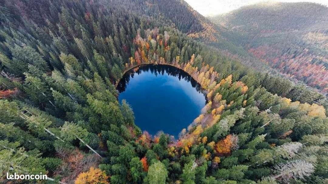 Gite De Rarounette Au Coeur Des Vosges Celles-sur-Plaine Exterior foto