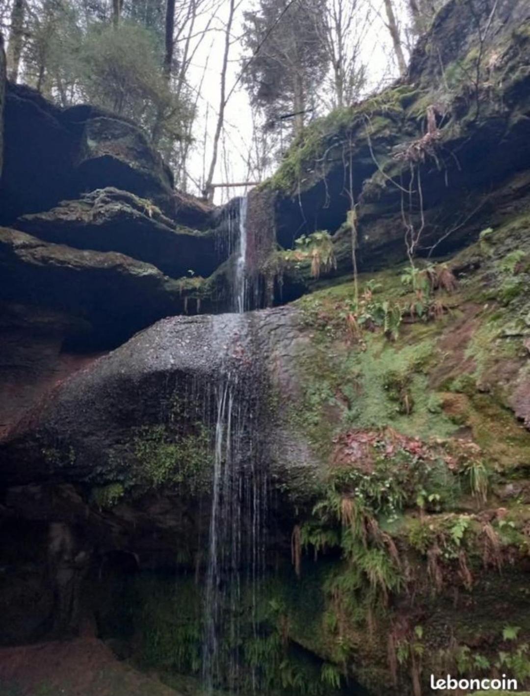 Gite De Rarounette Au Coeur Des Vosges Celles-sur-Plaine Exterior foto